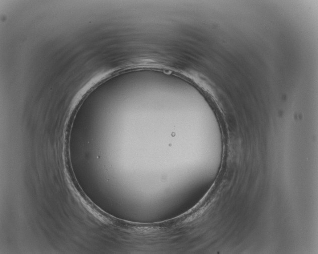 X0000083011333200702161541