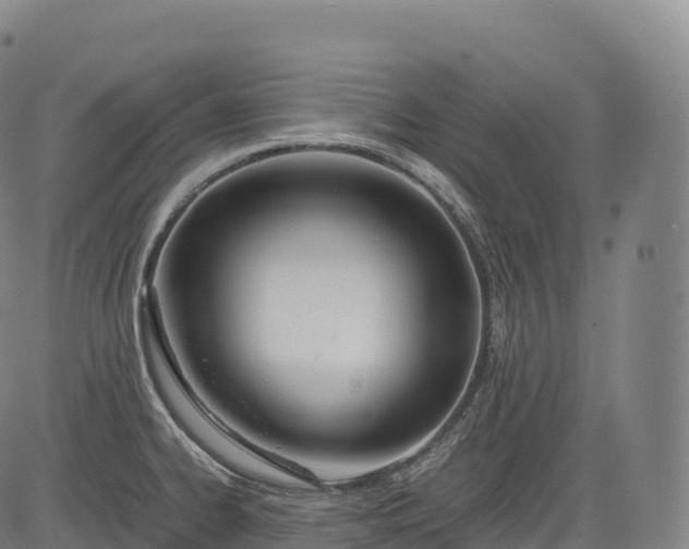 X0000083011334200702161541