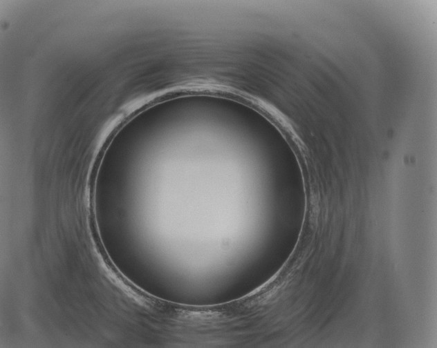 X0000083011335200702161541