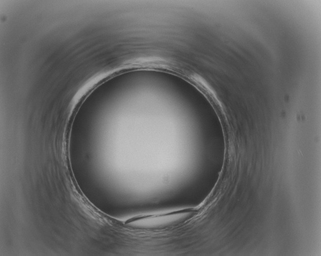 X0000083011336200702161542