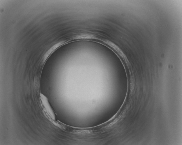 X0000083011337200702161542