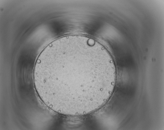 X0000083011338200702161542