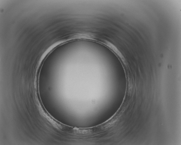 X0000083011339200702161542