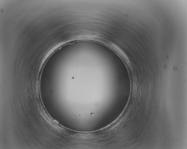 X0000083011340200702161542