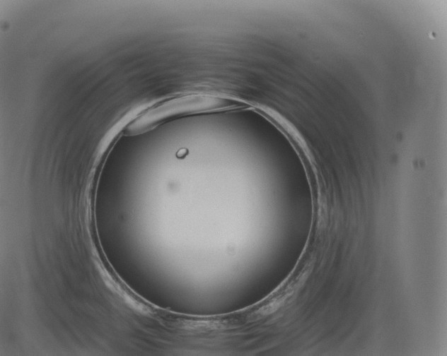 X0000083011341200702161542