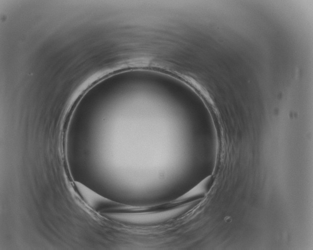 X0000083011342200702161542