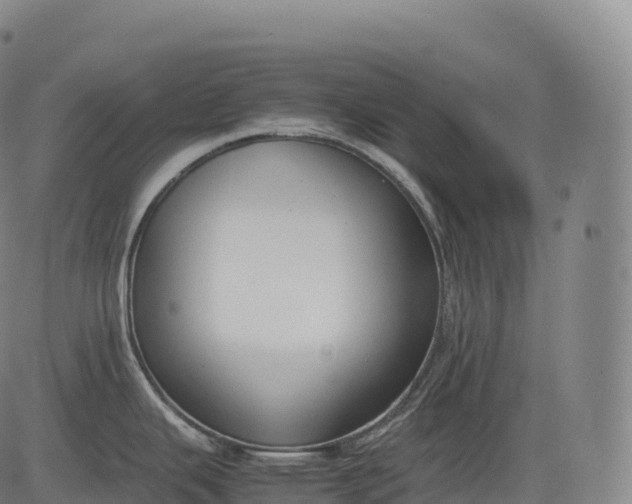 X0000083011343200702161542