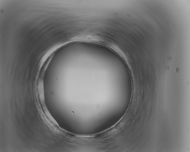 X0000083011344200702161542