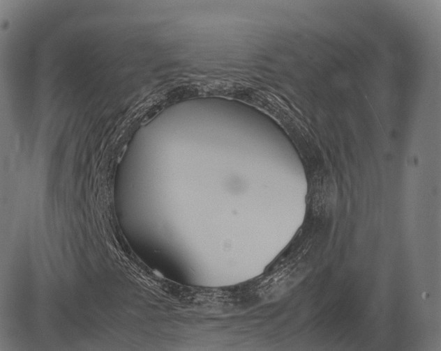 X0000083011345200702161541