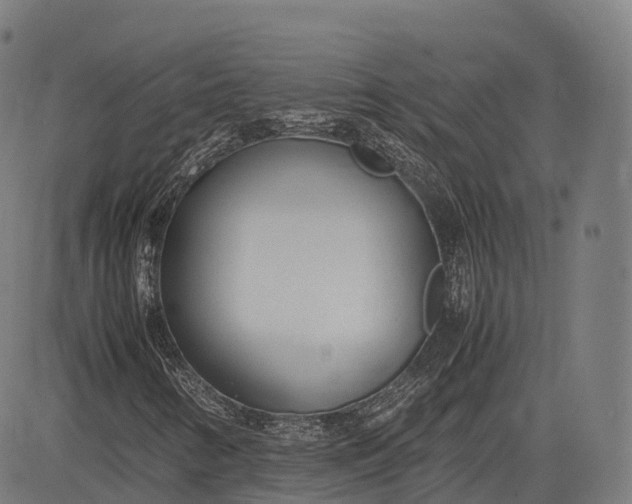 X0000083011346200702161541