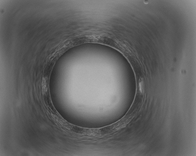 X0000083011347200702161541