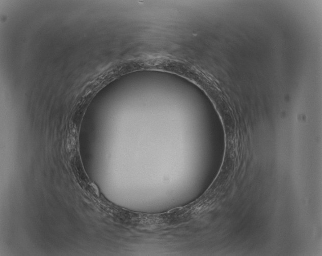 X0000083011349200702161541