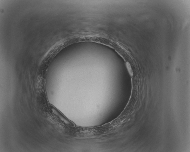 X0000083011351200702161541