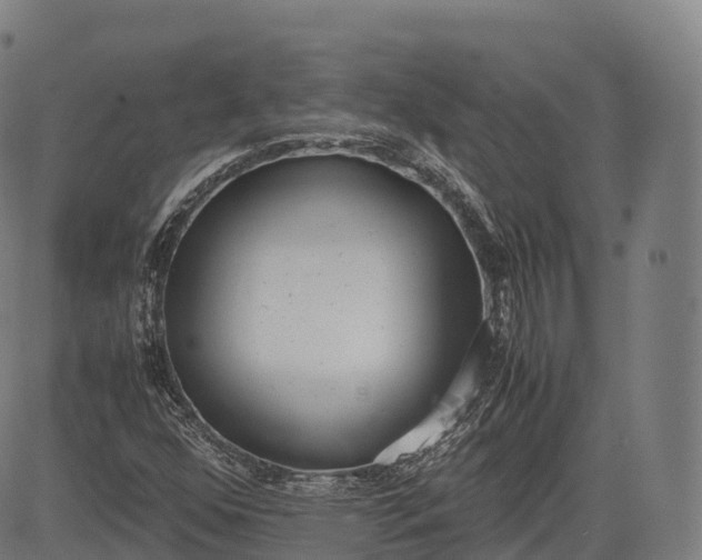 X0000083011352200702161541