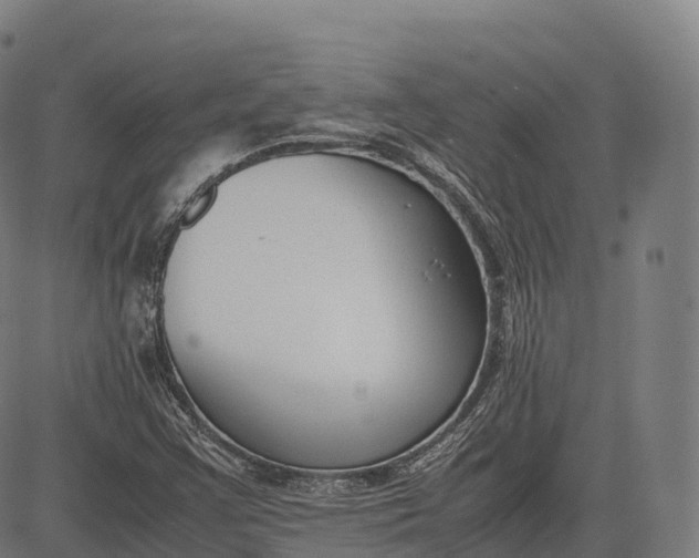 X0000083011355200702161541