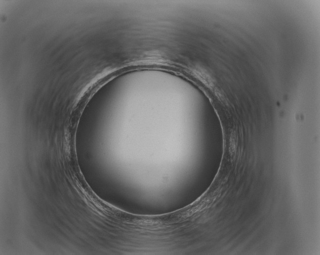 X0000083011356200702161541