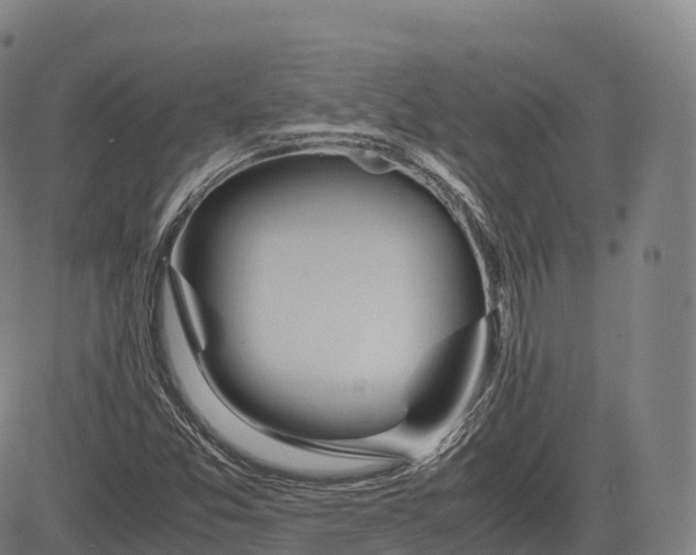 X0000083011357200702161541