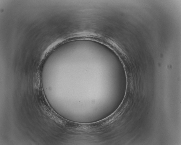 X0000083011358200702161541