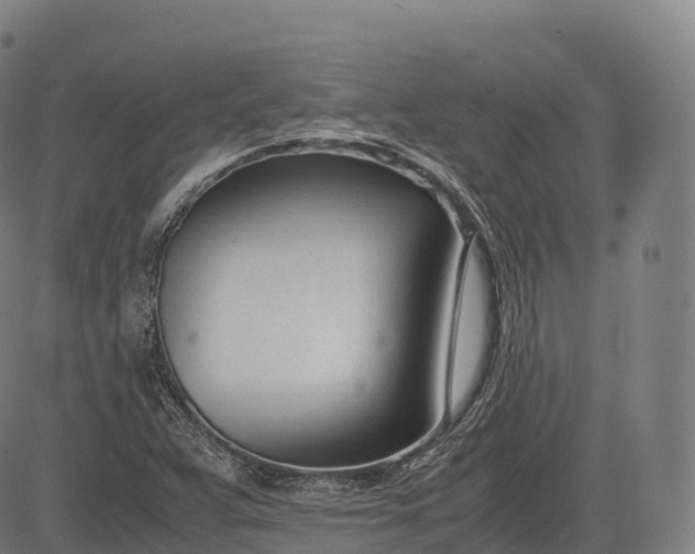 X0000083011359200702161541