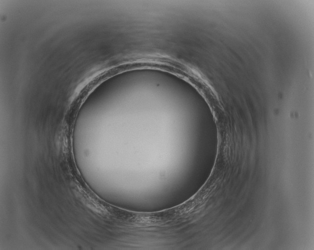 X0000083011360200702161541