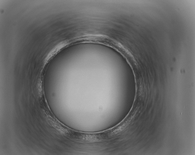 X0000083011362200702161541