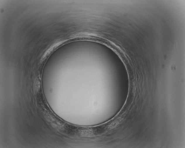 X0000083011363200702161541