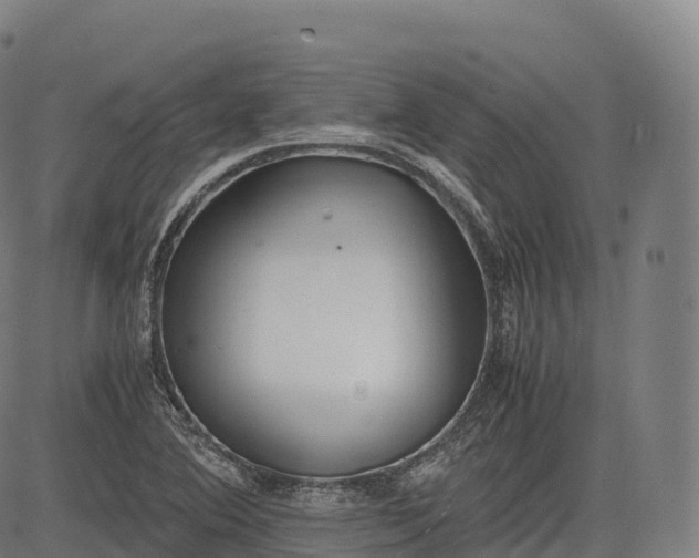 X0000083011364200702161541