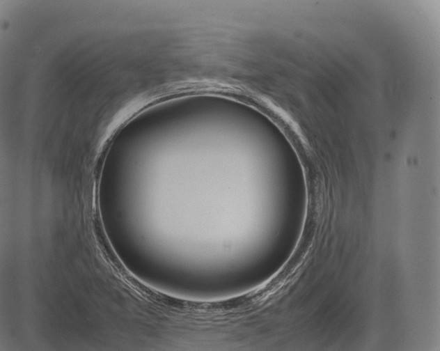 X0000083011365200702161541