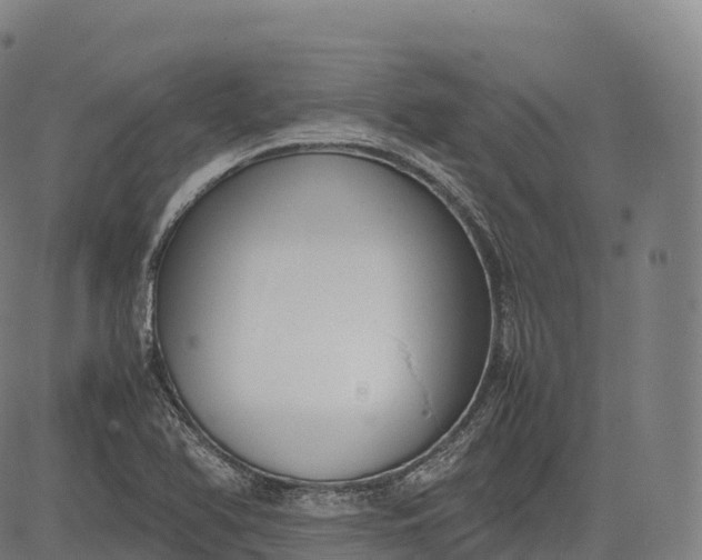 X0000083011366200702161541