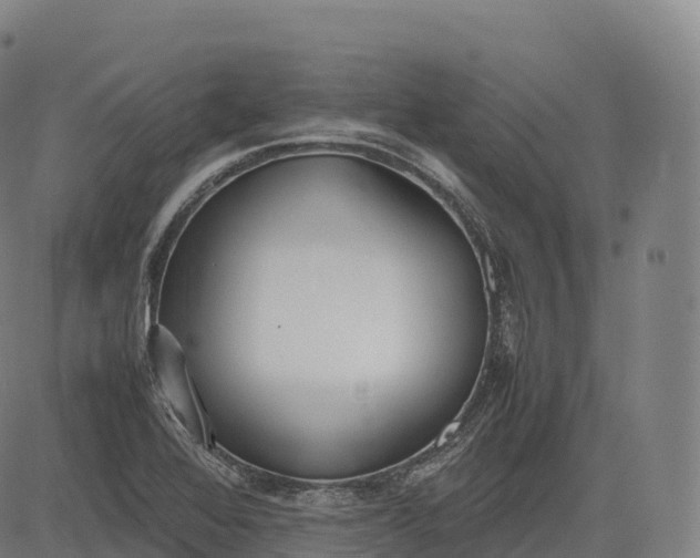 X0000083011368200702161540