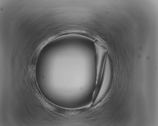 X0000083011369200702161540