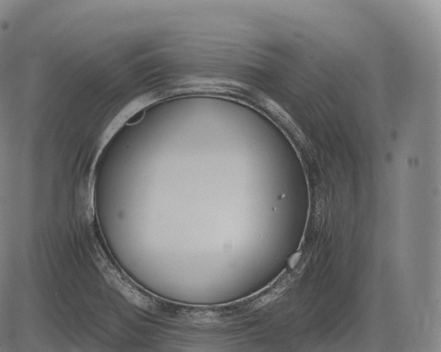 X0000083011370200702161540