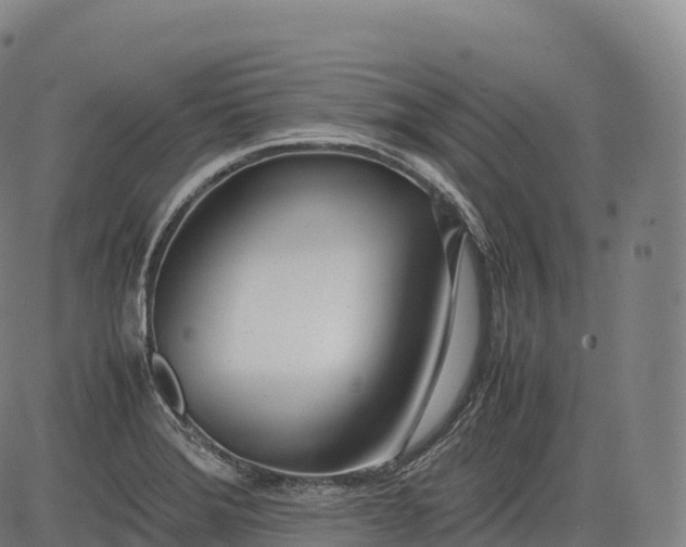 X0000083011372200702161540