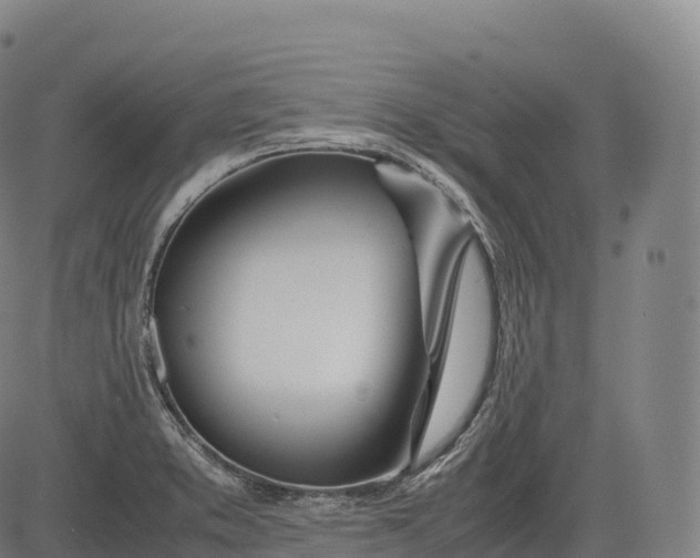 X0000083011373200702161540