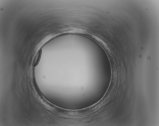 X0000083011375200702161540