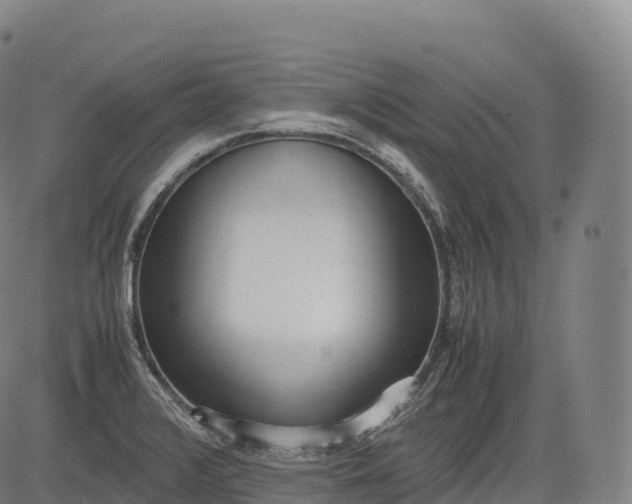 X0000083011376200702161540