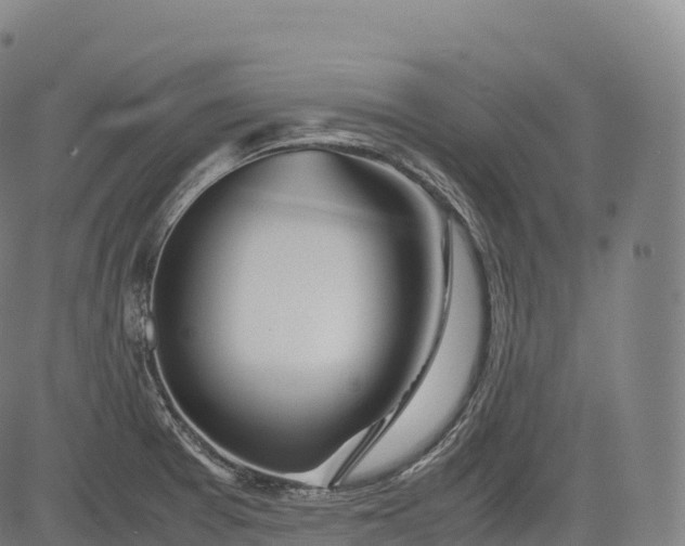 X0000083011377200702161540