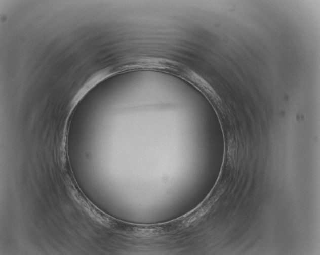 X0000083011378200702161540