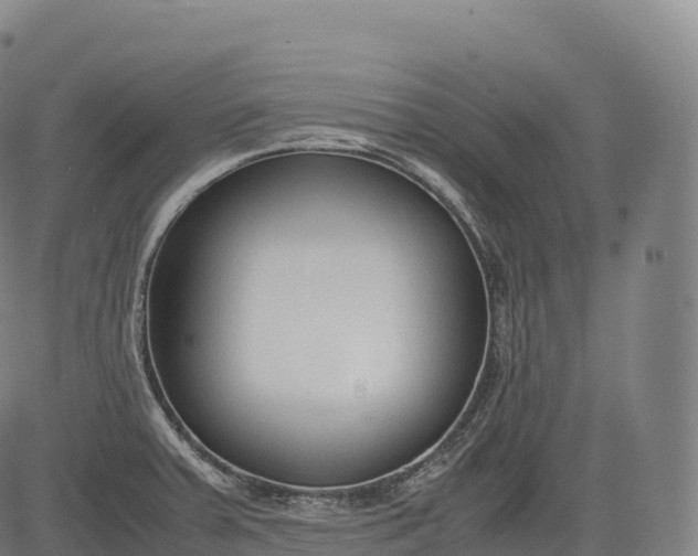 X0000083011379200702161540