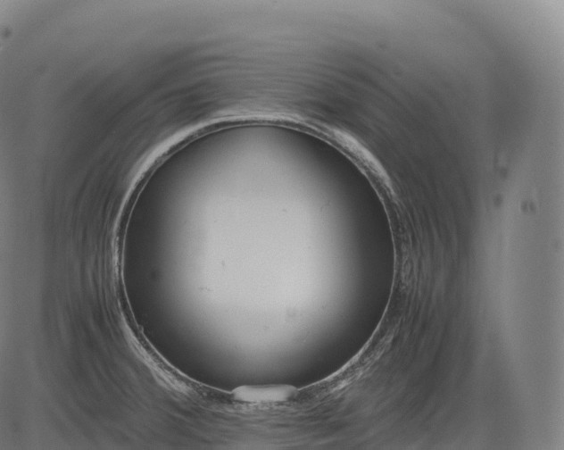 X0000083011380200702161540