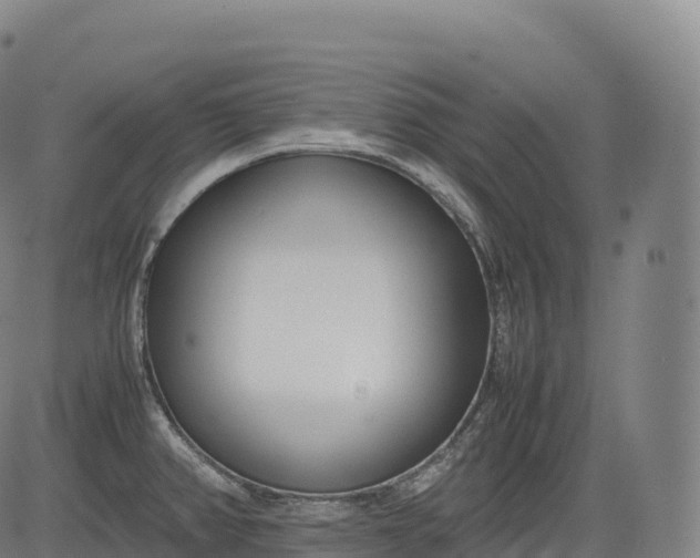 X0000083011382200702161540