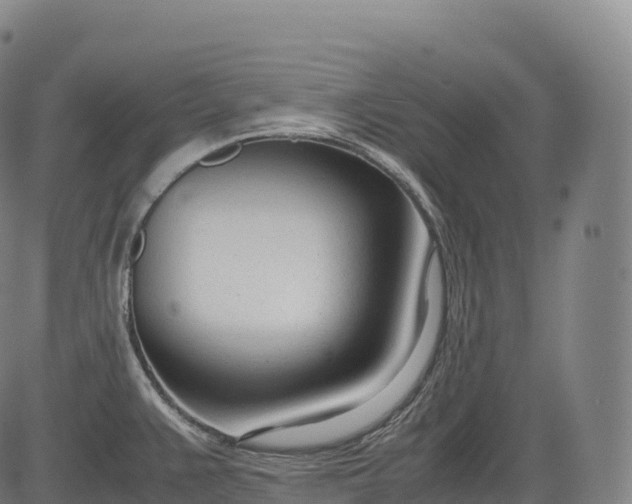 X0000083011383200702161540