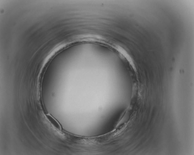 X0000083011384200702161540