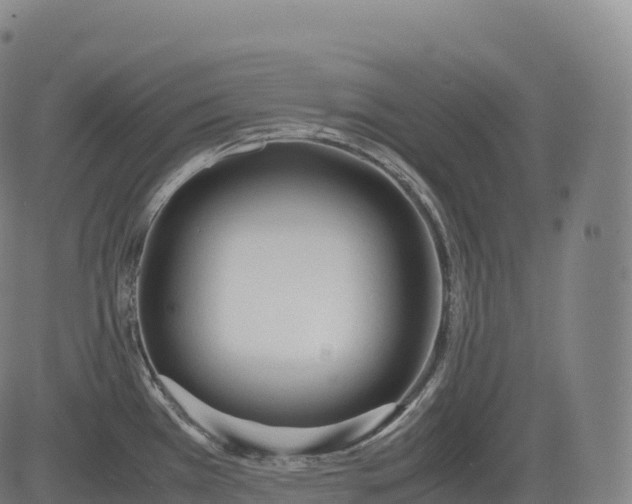 X0000083011385200702161540