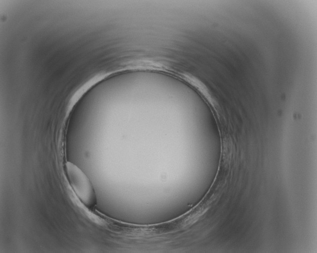 X0000083011387200702161540