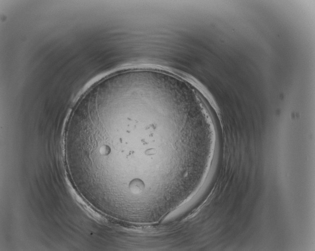 X0000083011388200702161540