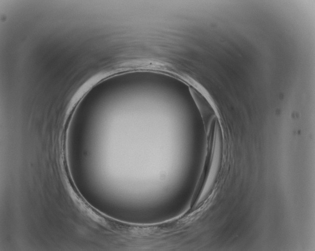 X0000083011389200702161540