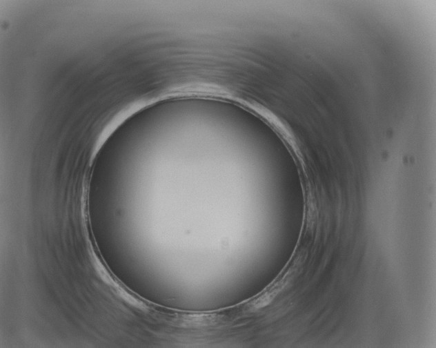 X0000083011390200702161540