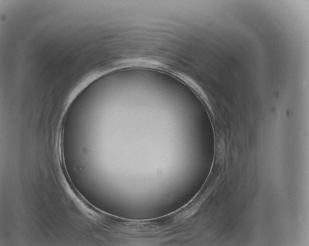 X0000083011391200702161540