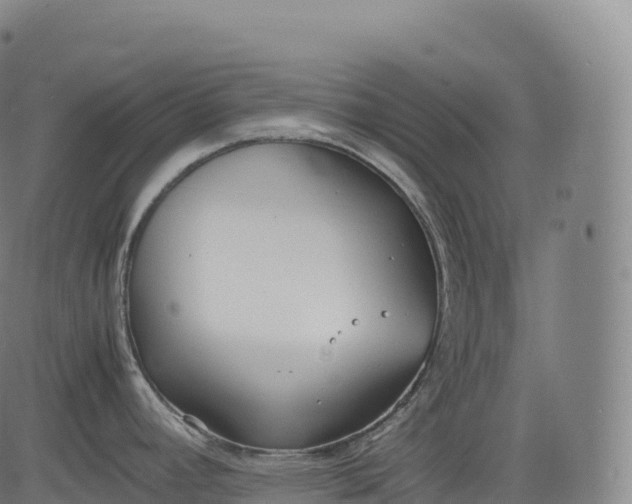 X0000083011392200702161540